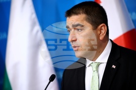 Грузия - Росен Желязков - Шалва Папуашвили - изявления