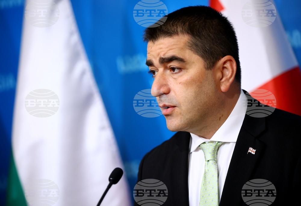 Грузия - Росен Желязков - Шалва Папуашвили - изявления