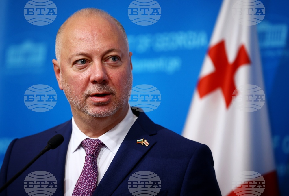 Грузия - Росен Желязков - Шалва Папуашвили - изявления