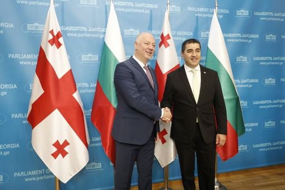 България оценява на напредъка на Грузия в реформите и е готова да предостави подкрепа за тези, свързани с европейската перспектива на страната, заяви председателят на Народното събрание Росен Желязков в Тбилиси