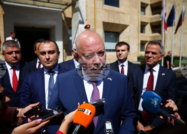 Грузия - Росен Желязков - изявления