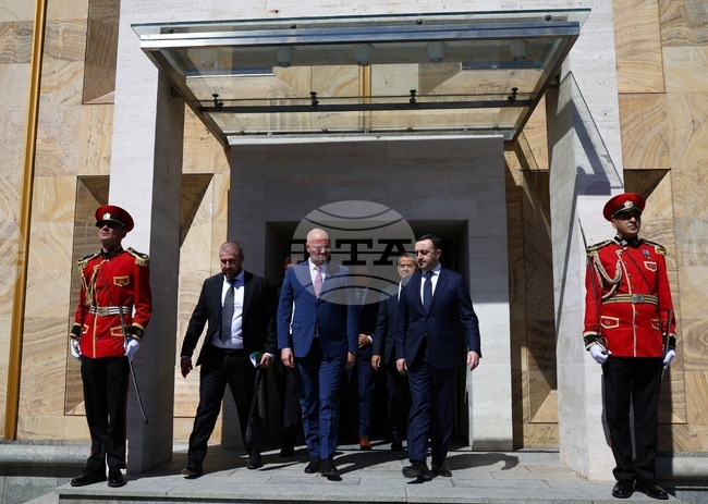 Грузия - Росен Желязков - Иракли Гарибашвили