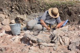 Suvorovo - excavations - prehistoric settlement