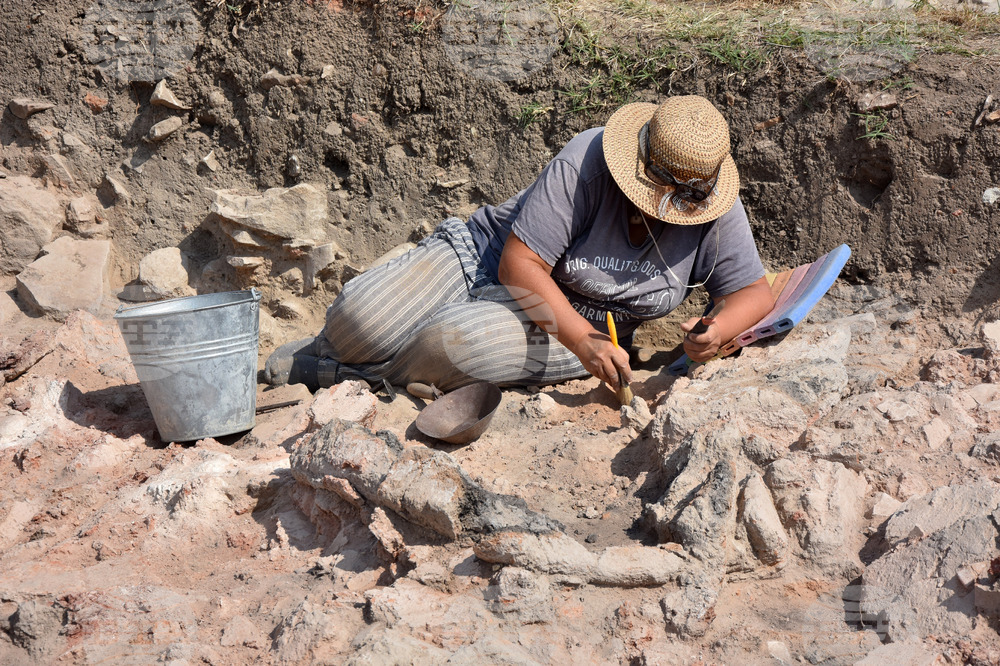 Suvorovo - excavations - prehistoric settlement