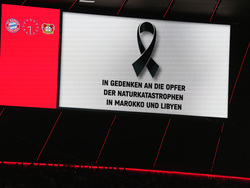 Germany Soccer Bundesliga