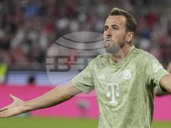 Germany Soccer Bundesliga
