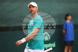 Тенис - Купа „Дейвис“ - Димитър Кузманов