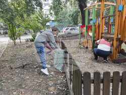 Снимка: Община Видин