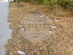 Снимка: Община Разград