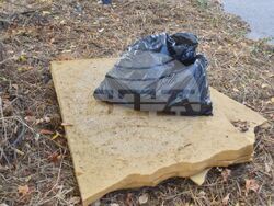 Снимка: Община Разград