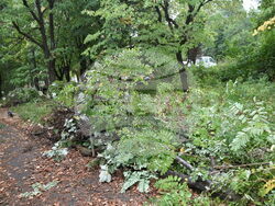 Снимка: Община Ловеч