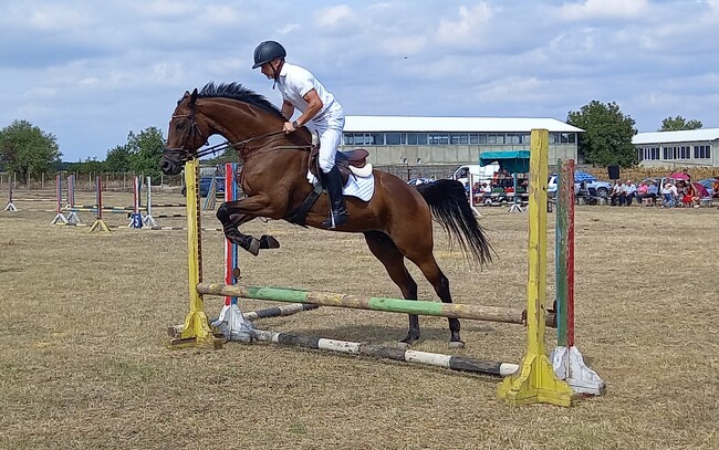 Община Каварна: За поредна година манежа в село Селце обедини красотата на ездата и тръпката от конния спорт