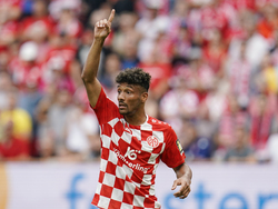 Germany Soccer Bundesliga