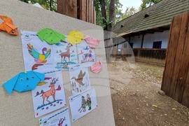 Румъния - Дни на румънския ловец