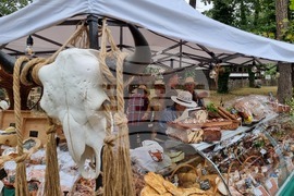 Румъния - Дни на румънския ловец