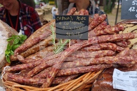 Румъния - Дни на румънския ловец