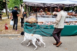 Румъния - Дни на румънския ловец