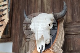 Румъния - Дни на румънския ловец