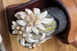 Румъния - Дни на румънския ловец