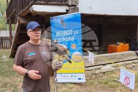 Румъния - Дни на румънския ловец