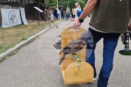 Румъния - Дни на румънския ловец