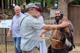 Румъния - Дни на румънския ловец