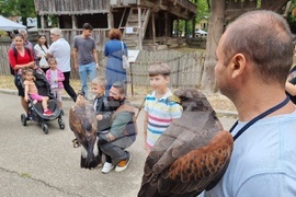 Румъния - Дни на румънския ловец