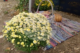 Румъния - Дни на румънския ловец