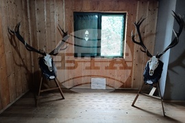 Румъния - Дни на румънския ловец