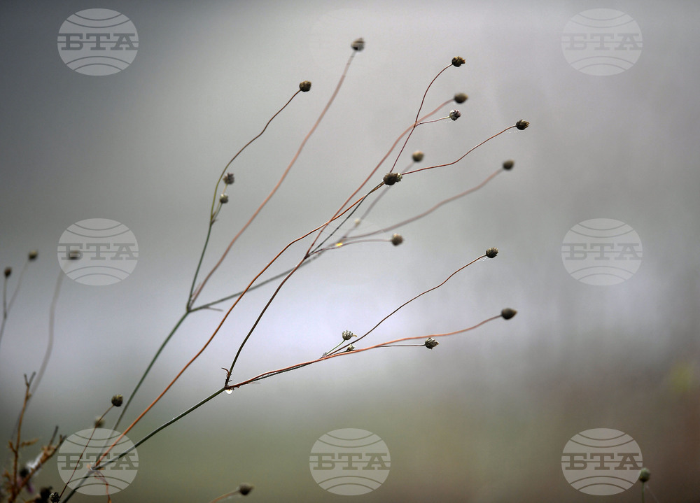 Прогноза за времето