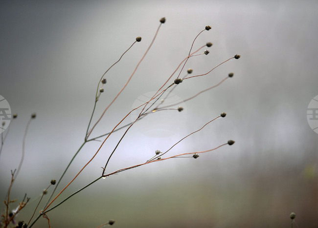 Прогноза за времето