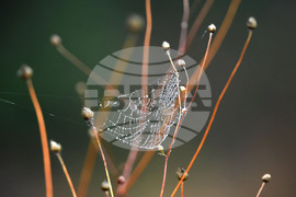 Село Голям Поровец - есенна мъгла
