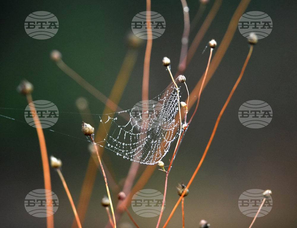 Село Голям Поровец - есенна мъгла