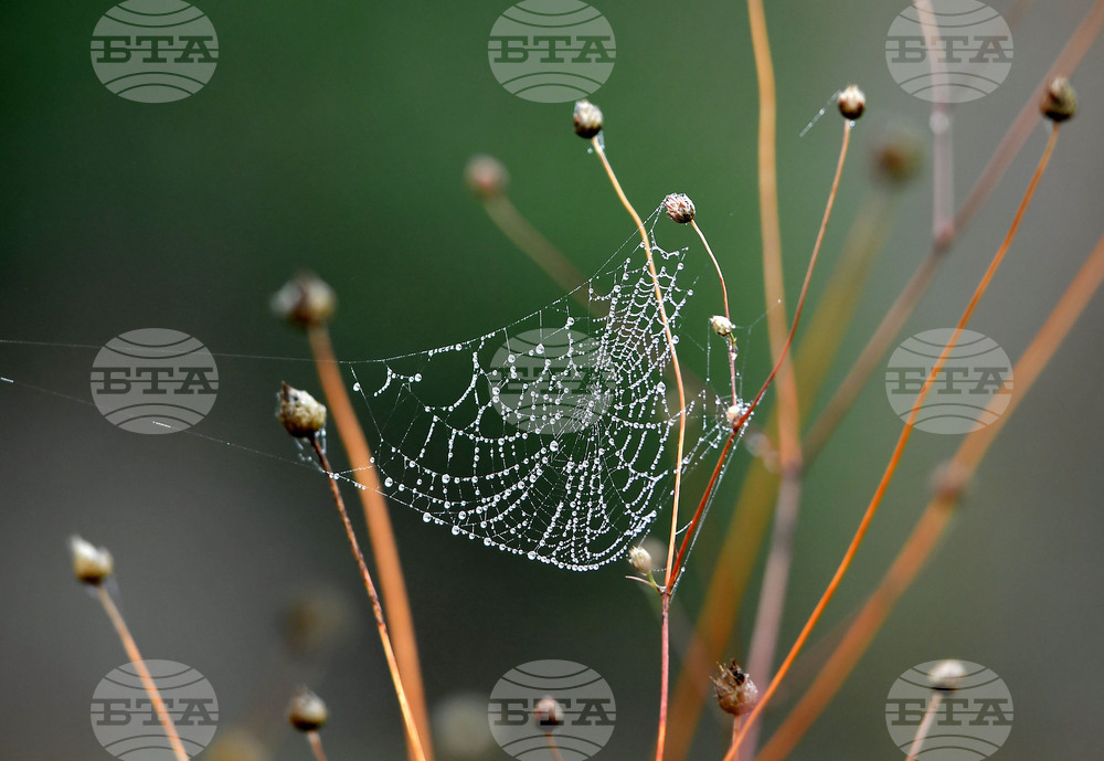 Село Голям Поровец - есенна мъгла