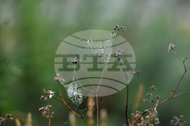 Село Голям Поровец - есенна мъгла