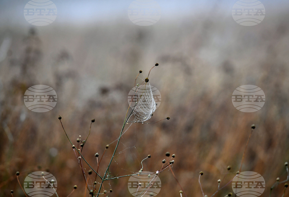 Село Голям Поровец - есенна мъгла