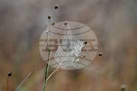 Село Голям Поровец - есенна мъгла