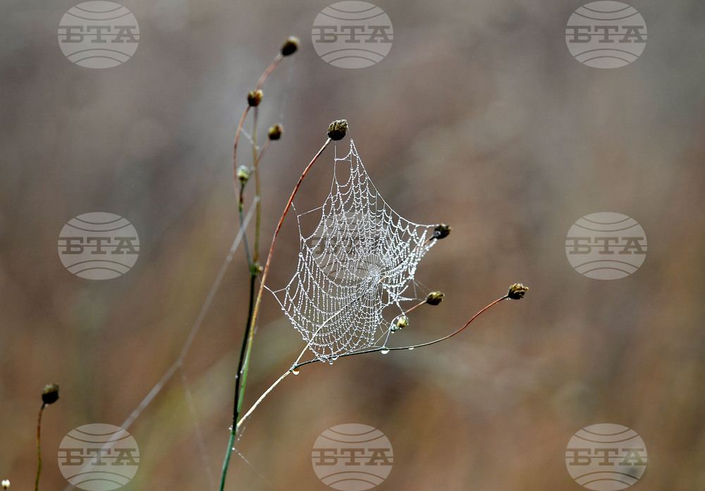 Село Голям Поровец - есенна мъгла