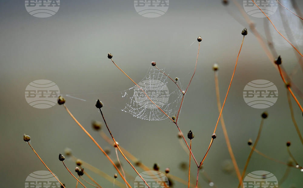 Село Голям Поровец - есенна мъгла