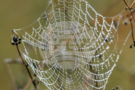 Село Голям Поровец - есенна мъгла