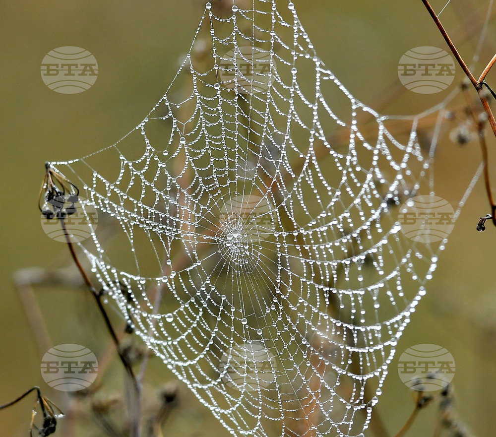 Село Голям Поровец - есенна мъгла