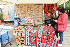  Чипровци - Фестивал на чипровския килим