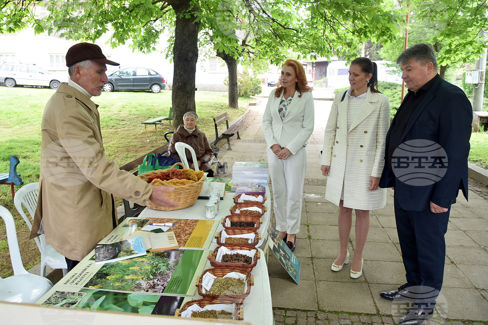  Чипровци - Фестивал на чипровския килим