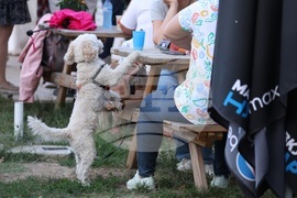 Ден на София - концерт