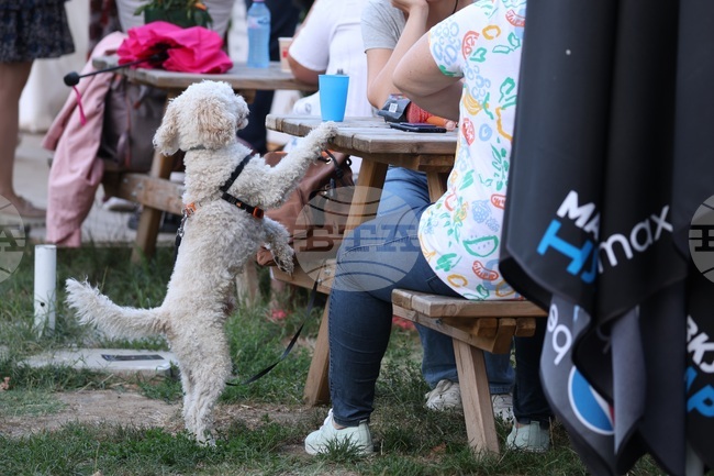 Граждани протестират пред сградата на Столичната община срещу предстоящ летен фестивал