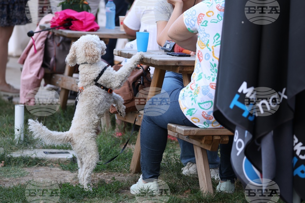 Ден на София - концерт