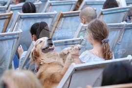 Ден на София - концерт