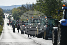 Разград - национален протест - земеделски производители