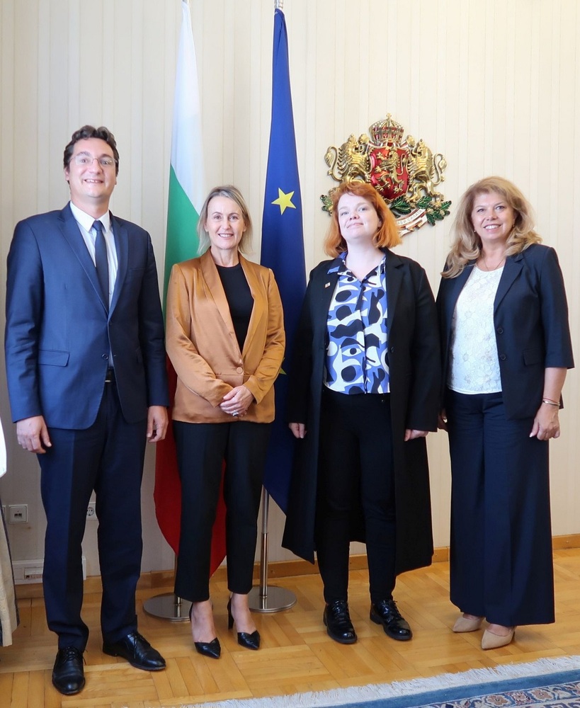 Вицепрезидентът разговаря с представители на Парламентарната асамблея на Съвета на Европа