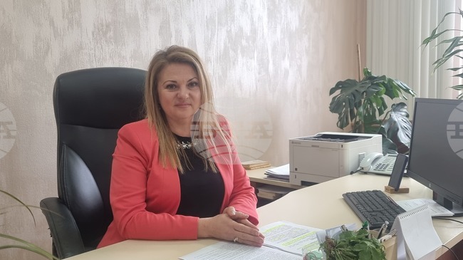 От Районния съд в Плевен отчитат ръст в делата по Закона за защита от домашно насилие 